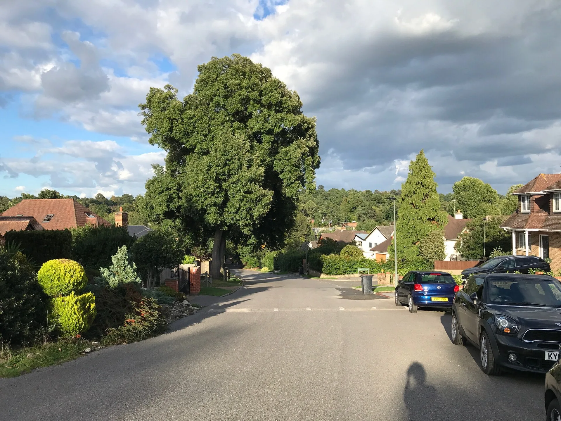 Bickley - Woodlands Road, Bickley
