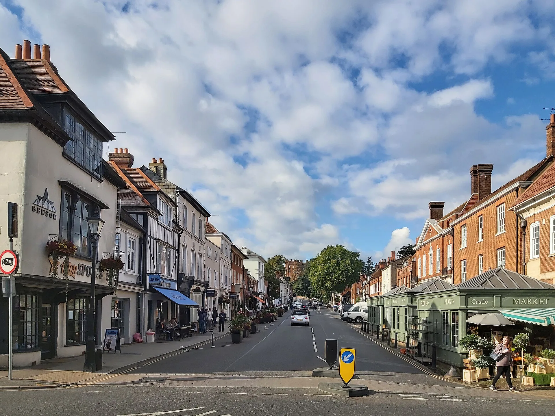 Farnham - town view